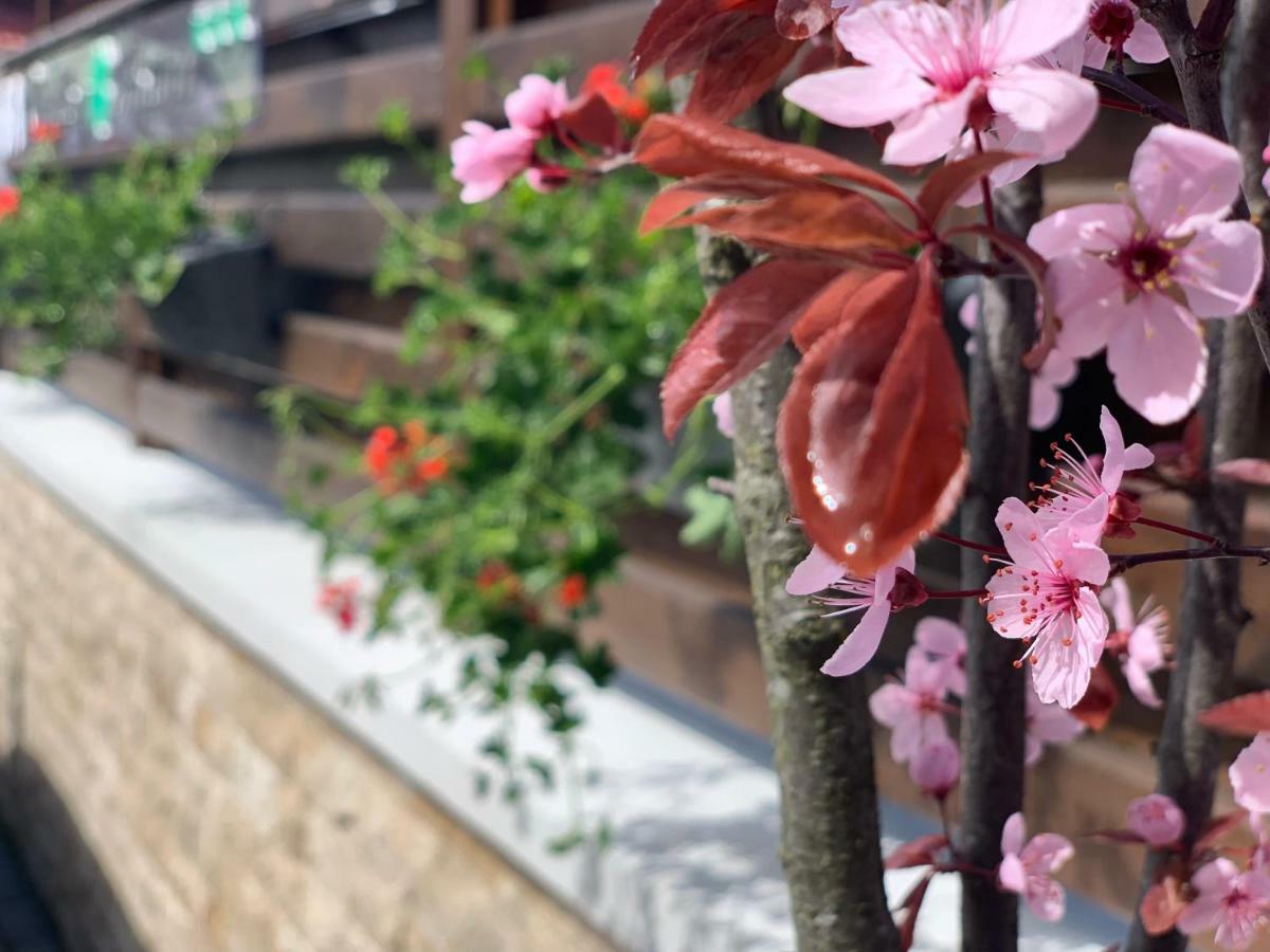 Garden Apart 프레데알 외부 사진